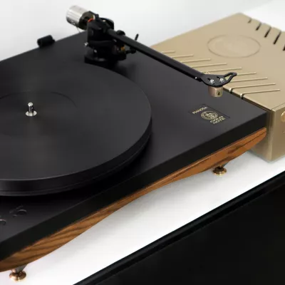 Gold Note Platine Vinyle Pianosa + Cellule Vasari Shibata